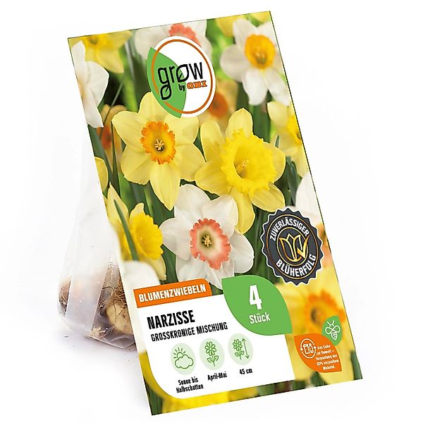 GROW by OBI Narzissen Mischung 4 Stück Narcissus large cupped Mixed günstig online kaufen