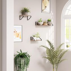 EUGAD Wandregal, Set 3-tlg., 3er Set günstig online kaufen