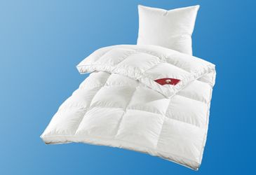 RIBECO Federbettdecke Emily, Füllung: 100% Federn, günstig online kaufen