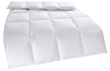 my home Daunenbettdecke "Cyra, Bettdecke 135x200 cm, 155x220 cm" warm Füllu günstig online kaufen