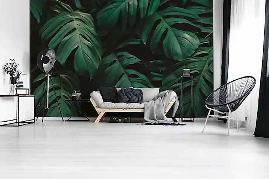 A.S. Création Vliestapete »Fototapete Monstera Blätter Dunkelgrün Tropisch« günstig online kaufen