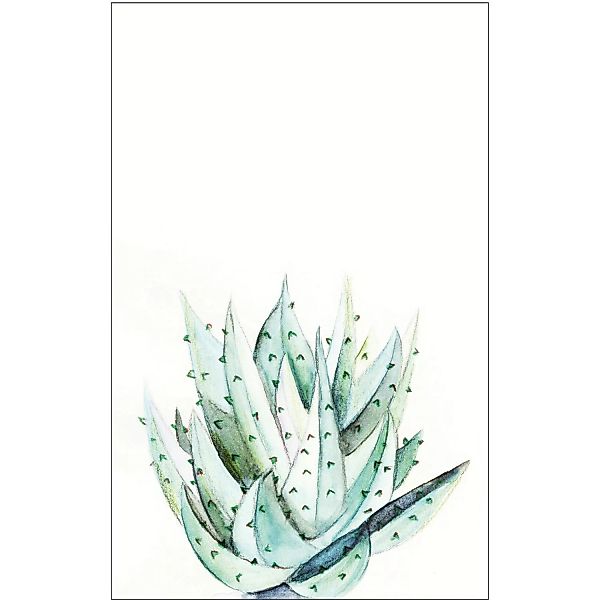 Komar Poster »Aloe Watercolor«, Pflanzen-Blätter, (1 St.) günstig online kaufen