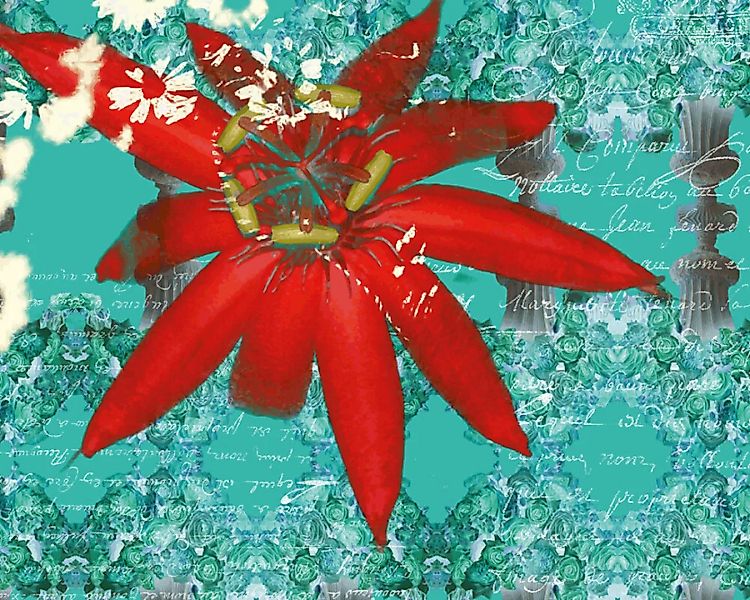 Fototapete "Rote Blume" 4,00x2,50 m / Glattvlies Perlmutt günstig online kaufen