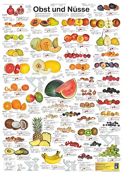 Close Up Poster Obst und Nüsse günstig online kaufen