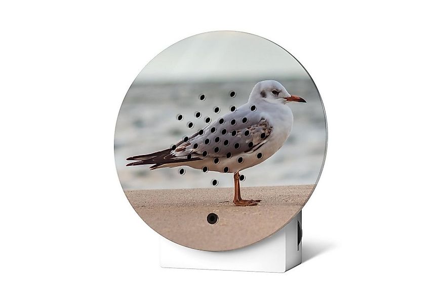 Relaxound GmbH Wanddekoobjekt Oceanbox Happy Birds Baltic Seagull günstig online kaufen