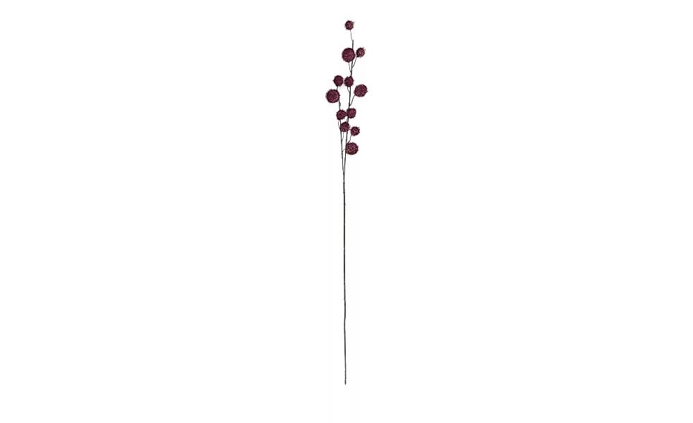 Gomphocarpus-Fruchtzweig - lila/violett - Metall, Kunststoff - 60 cm - Deko günstig online kaufen