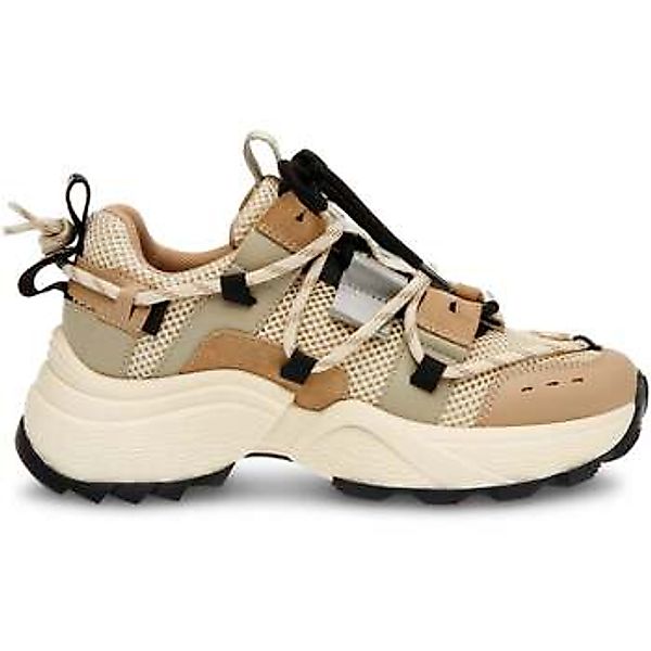Steve Madden  Sneaker Baskets femme  Tazmania günstig online kaufen