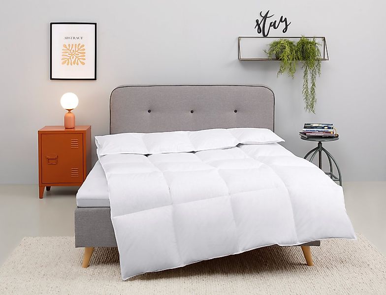 my home Daunenbettdecke Covino, Bettdecke 135x200 cm, 155x220 cm, Füllung: günstig online kaufen