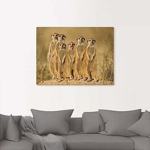 Artland Wandbild »Erdmännchen Familie«, Wildtiere, (1 St.), als Alubild, Ou günstig online kaufen