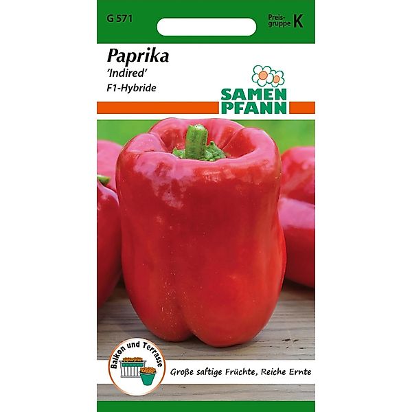 SAMEN PFANN Paprika Indired F1 günstig online kaufen