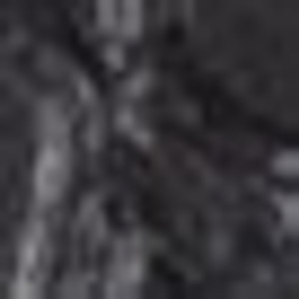 stuco Platzset Iguana – Stone-Shape, (Set, günstig online kaufen