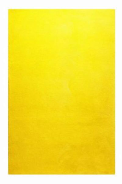 homie LIVING - Hochflorteppich -  Tivoli - 25mm - pflegeleicht gelb Gr. 70 günstig online kaufen