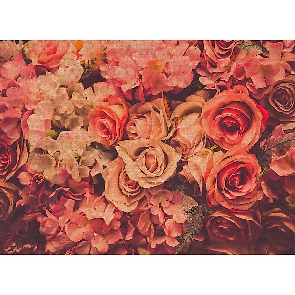 Fototapete Blumen Rosen Blüten Vintage Rosa Rot Grün 3,50 m x 2,55 m FSC® günstig online kaufen