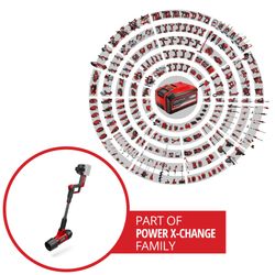 Einhell Akku-Laubbläser PROFESSIONAL GP-LB 36/270 Li günstig online kaufen