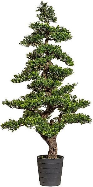 Kunstbonsai Bonsai Teeblatt Bonsai, Creativ green, Höhe 160 cm günstig online kaufen