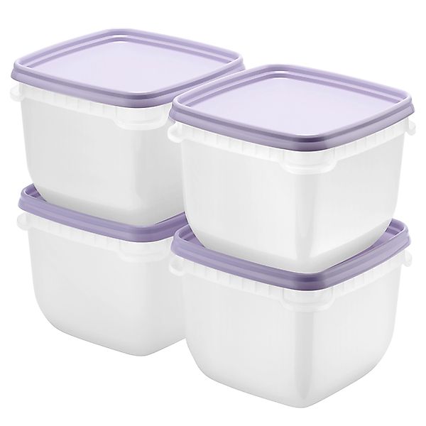 SmartStore Gefrierdose Frost 0,75 l Lavendel 4 Stück günstig online kaufen