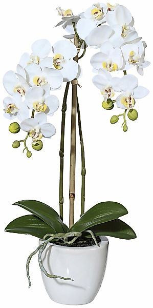 Creativ green Kunstpflanze "Orchidee Phalaenopsis", im Keramiktopf günstig online kaufen