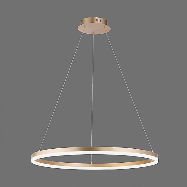Paul Neuhaus Pendelleuchte »TITUS« LED-Board 1 Stk. Warmweiß LED, dimmbar, günstig online kaufen