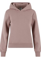URBAN CLASSICS Kapuzenpullover "Urban Classics Ladies Regular Hoodie", (1 t günstig online kaufen