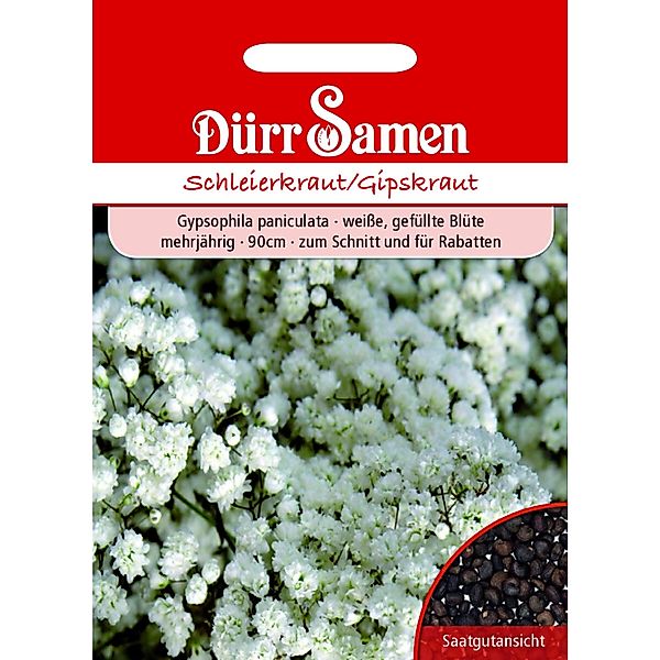 Dürr Samen Schleierkraut Gefüllt Weiße Blüten Mehrjährig Saatgut günstig online kaufen