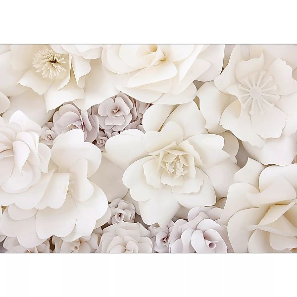 Fototapete - Floral Display günstig online kaufen