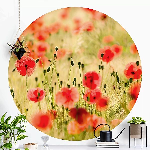 Runde Fototapete selbstklebend Summer Poppies günstig online kaufen