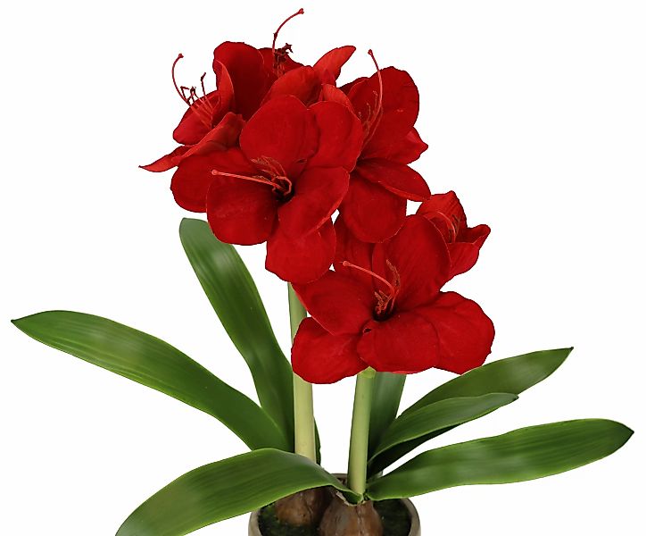 I.GE.A. Kunstblume "Amaryllis im Topf", 50cm Blume Weihnachtsblume Weihnach günstig online kaufen