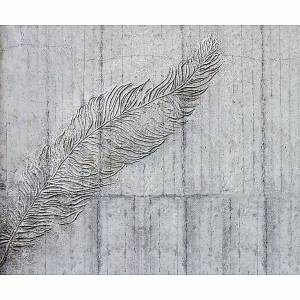 Komar Fototapete Vlies Betonfeder  300 x 250 cm günstig online kaufen