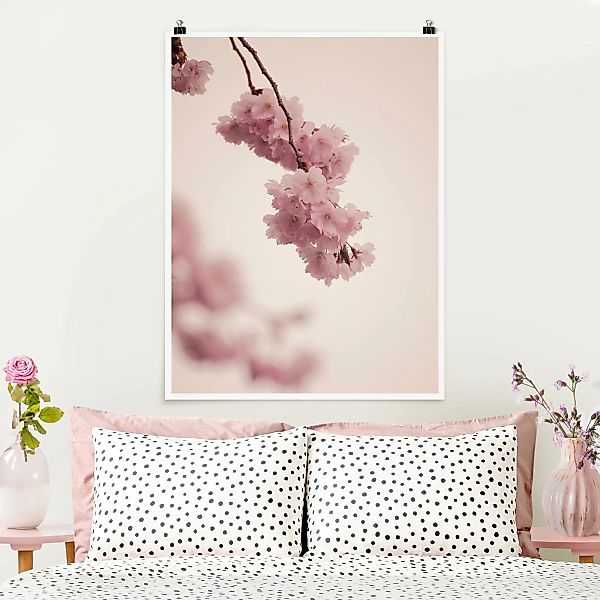 Poster Zartrosane Frühlingsblüte mit Bokeh günstig online kaufen