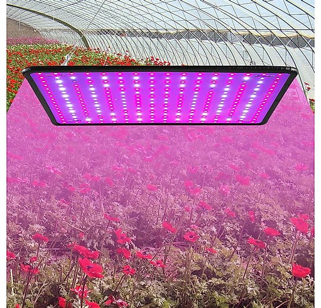 Rosnek Pflanzenlampe Volles Spektrum, 256LEDs, Gewächshaus Indoor-Gemüse Bl günstig online kaufen