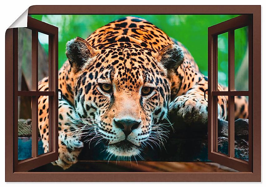 Artland Poster "Fensterblick - Südamerikanischer Jaguar", Wildtiere, (1 St. günstig online kaufen