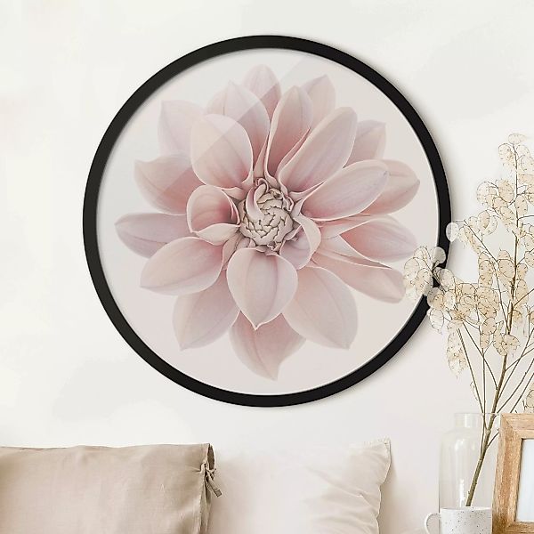 Rundes Gerahmtes Bild Dahlie Blume Pastell Weiß Rosa günstig online kaufen