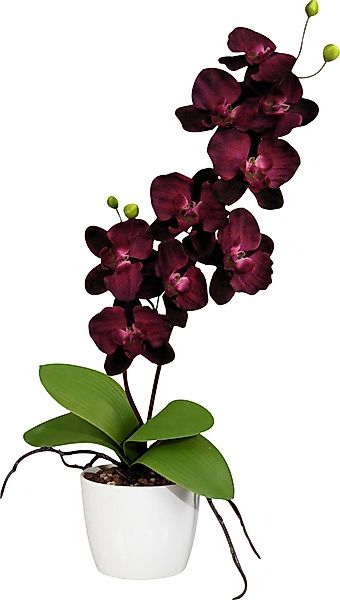 Kunstpflanze Kunstpflanze Orchidee günstig online kaufen