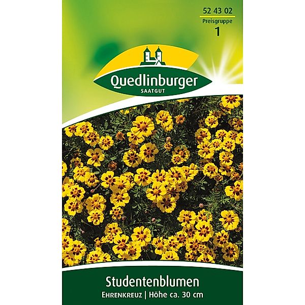 Quedlinburger Studentenblume ''Ehrenkreuz'' günstig online kaufen