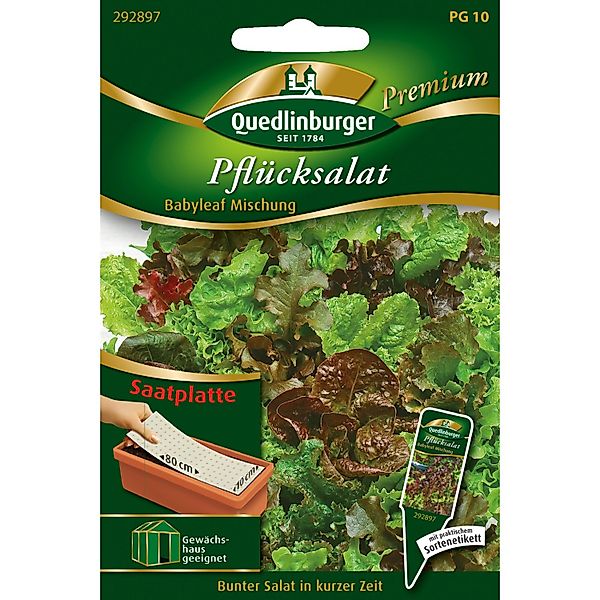 Quedlinburger Pflücksalat-Mischung Babyleaf Saatplatte günstig online kaufen