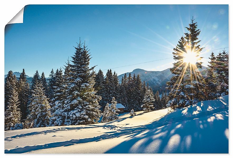 Artland Poster "Winterlandschaft mit Sonnenstern", Berge, (1 St.), als Alub günstig online kaufen