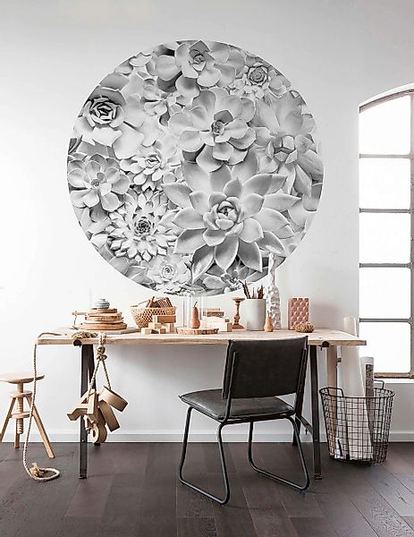 Komar Vlies Fototapete Echeveria Selbstklebend Ø 125 cm günstig online kaufen