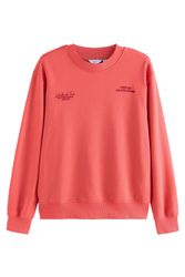 Next Sweater Grafik-Kapuzensweatshirt (1-tlg) günstig online kaufen