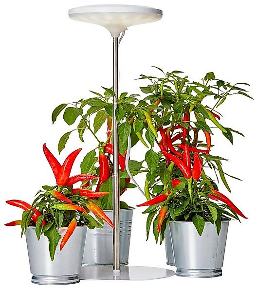 Northpoint Pflanzenlampe Northpoint LED Pflanzenleuchte Pflanzenlicht mit T günstig online kaufen