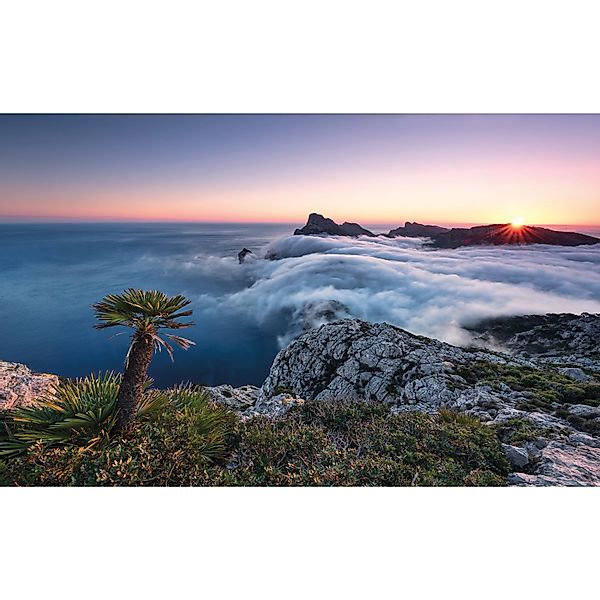 Vlies Fototapete Island Paradise 450x280 cm günstig online kaufen