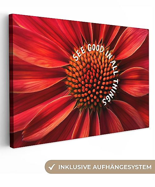 OneMillionCanvasses® Leinwandbild Nahaufnahme - Blume - günstig online kaufen