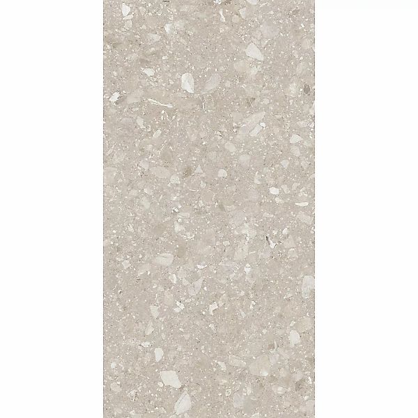 Bodenfliese Feinsteinzeug Beige Glasiert Matt 60 cm x 120 cm günstig online kaufen