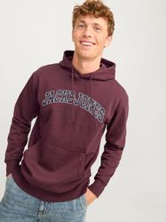 Jack & Jones Kapuzensweatshirt JJECALEB VARSITY günstig online kaufen