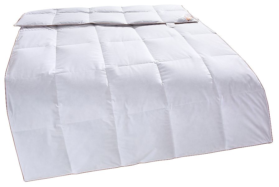 RIBECO Daunenbettdecke "Richard, Bettdecken für Sommer oder Winter, Made in günstig online kaufen