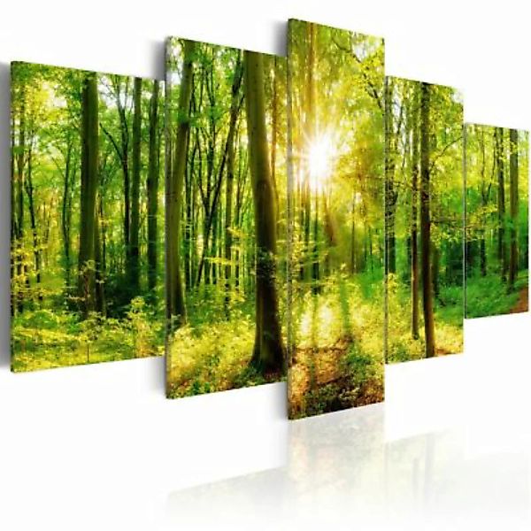 artgeist Wandbild Forest Tale mehrfarbig Gr. 200 x 100 günstig online kaufen