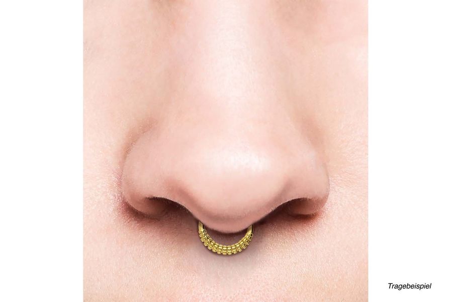 PIERCINGLINE Nasenpiercing Chirurgenstahl Segmentring Clicker KOLBEN-DESIGN günstig online kaufen