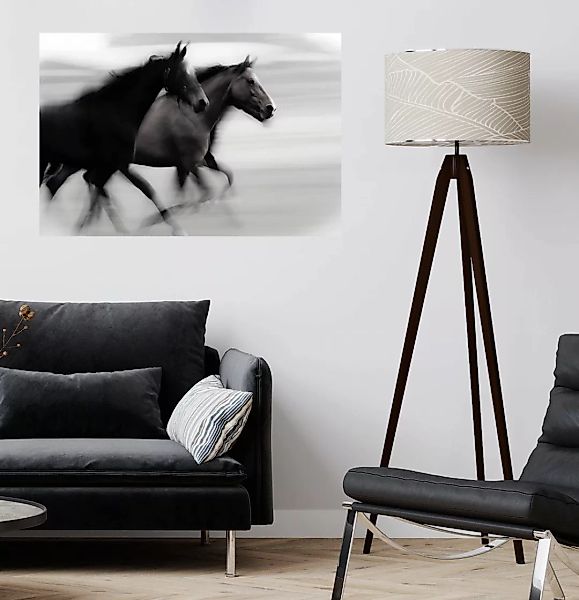queence Wandsticker "Horses", (1 St.) günstig online kaufen
