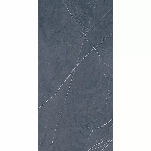 Bodenfliese Feinsteinzeug Anthrazit Glasiert Matt 60 cm x 120 cm günstig online kaufen