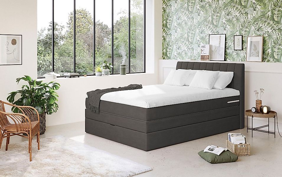 COTTA Boxspringbett Shark inkl. Bettkasten und Topper, erhältlich in den Br günstig online kaufen