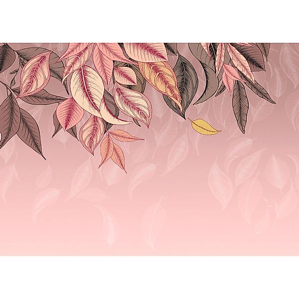 Komar Vliestapete Falling Leafs 350 cm x 250 cm Rosa günstig online kaufen
